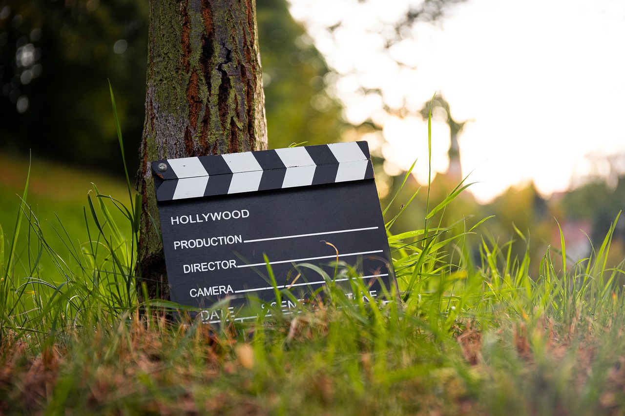 Film Flap Filmklappe Video Cinema  - dmncwndrlch / Pixabay
