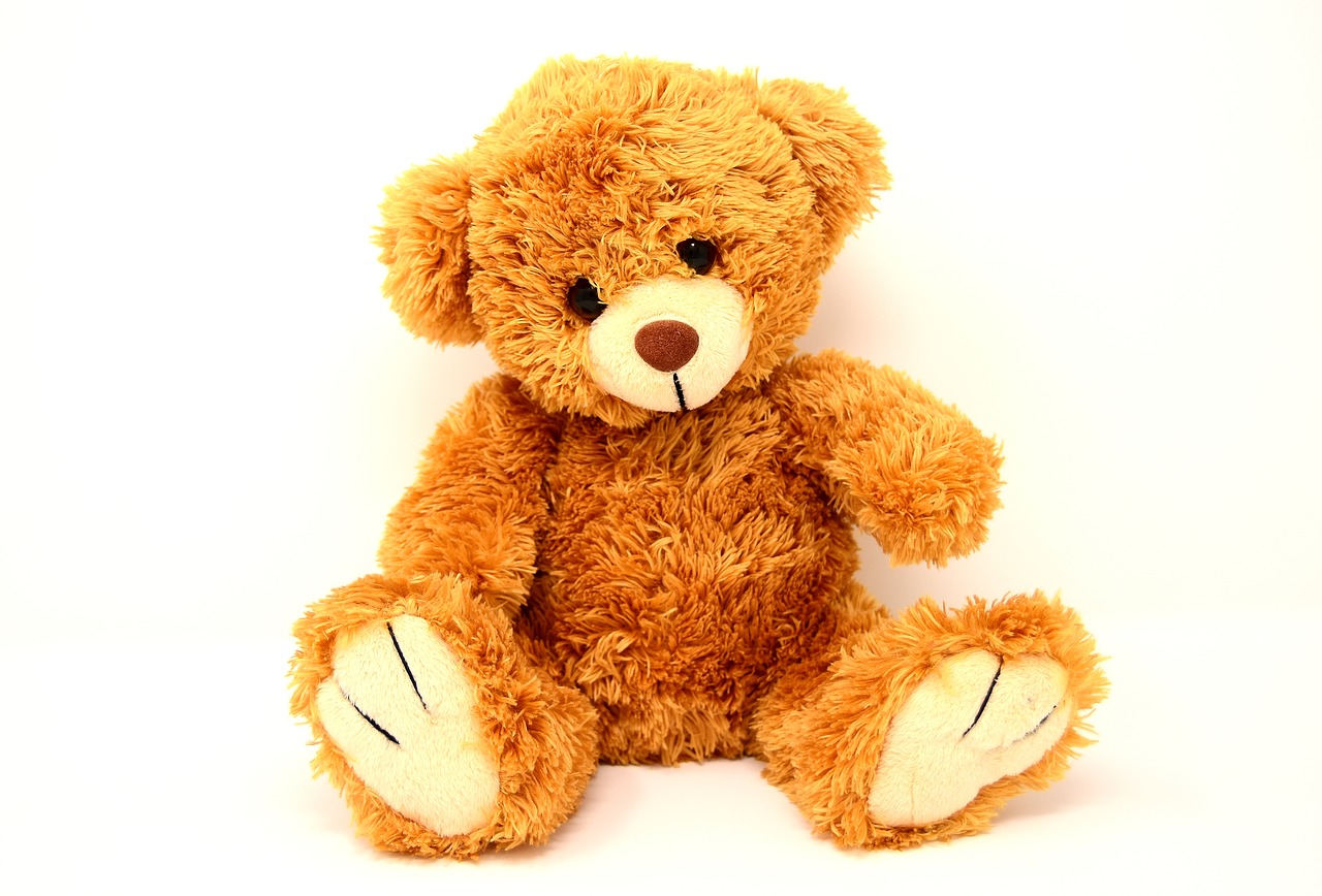 Teddy Soft Toy Bears Funny  - Alexas_Fotos / Pixabay