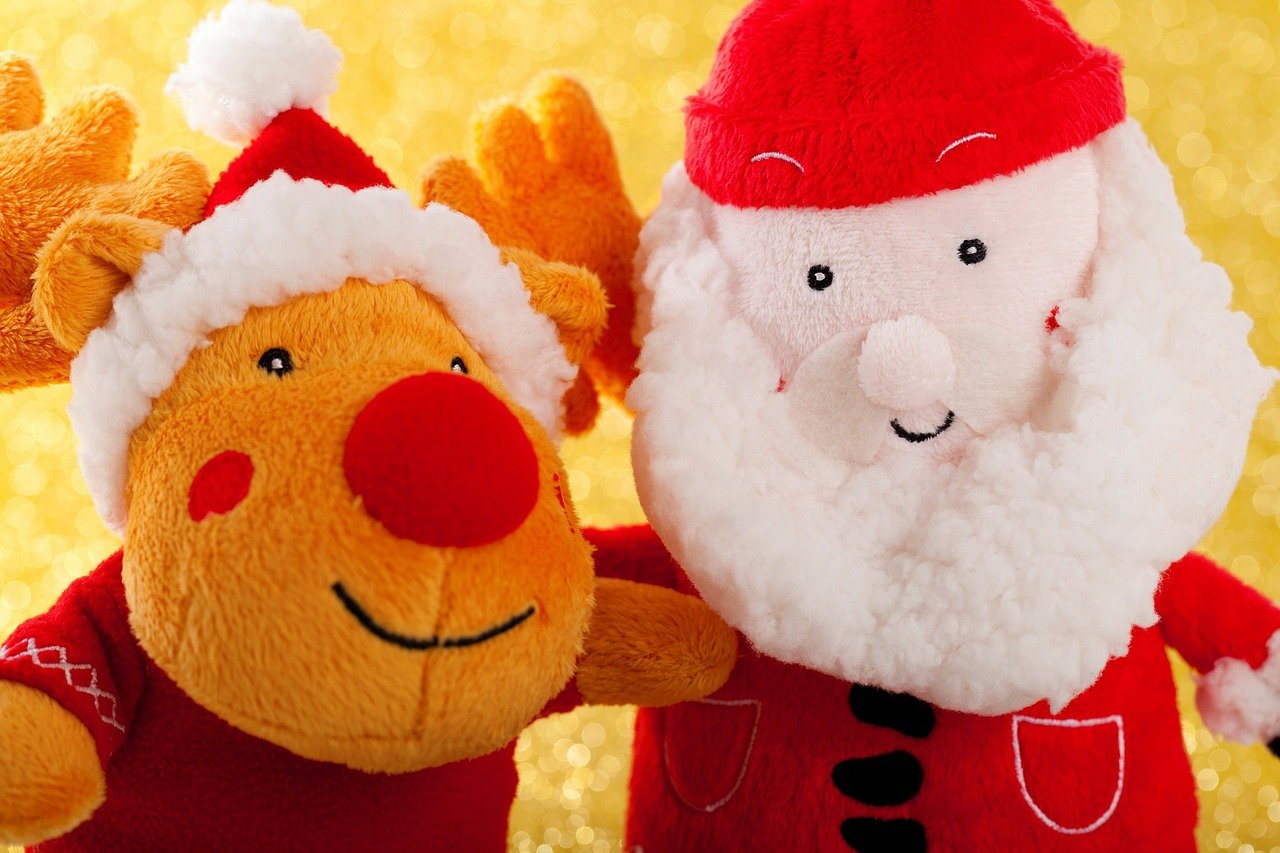 Santa Claus Christmas Beard - PublicDomainPictures / Pixabay