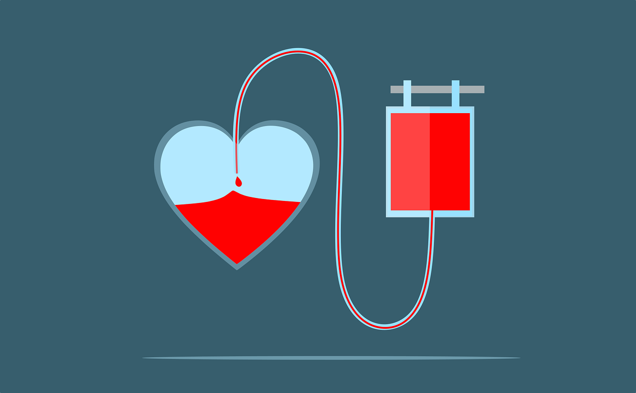 Heart Blood Donation Bag Donate  - mohamed_hassan / Pixabay