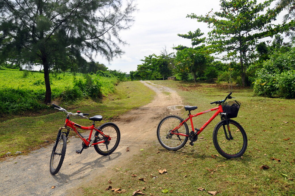 Ketam Mountain Bike Park at Pulau Ubin